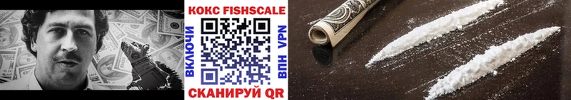 Кокаин FishScale  Купить  Волхов 