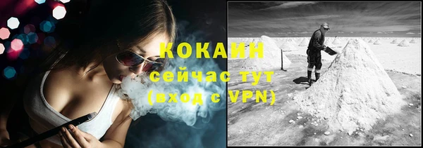 спиды Заводоуковск