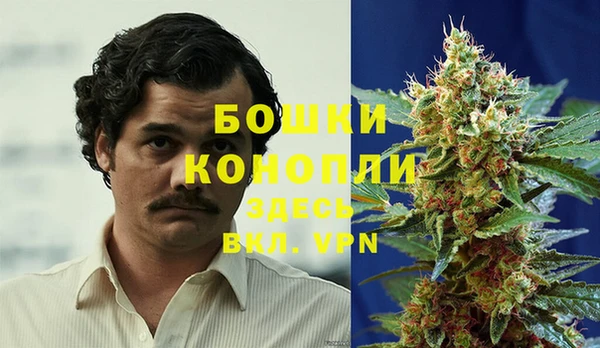спиды Заводоуковск