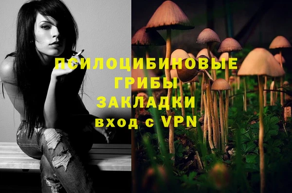 спиды Заводоуковск