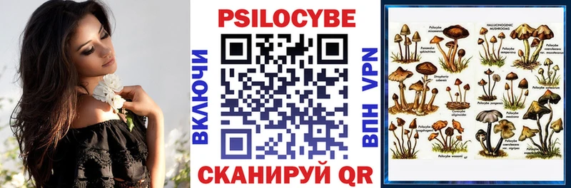 Галлюциногенные грибы MAGIC MUSHROOMS  Купить где  Волхов 
